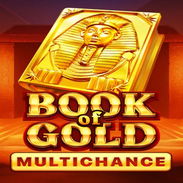 Book of Gold Multichance logo by Playson at Spinoloco Casino