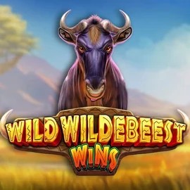 Play the Wild Wildebeest Wins slot by Pragmatic Play on Spinoloco Casino